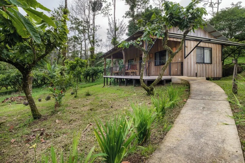 Pool deck with tropical foliage at Finca Amistad Cacao Lodge in Bijagua, budget-friendly lodging near Rio Celeste
