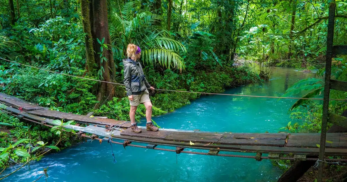 Turquoise Rio Celeste waterfall pouring into a blue pool in the rainforest on a full-day Rio Celeste tour from La Fortuna, Costa Rica