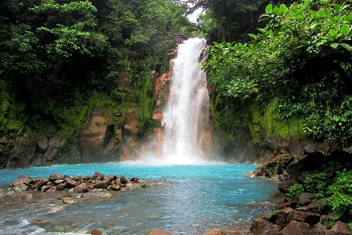 Swimmer in the pale blue water of the Rio Celeste river at a swimming hole on a hike and swim day trip, Costa Rica