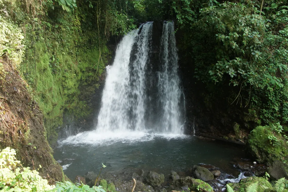 Opaque sky-blue water of the Rio Celeste river in Tenorio Volcano National Park on a Rio Celeste tour from La Fortuna, Costa Rica