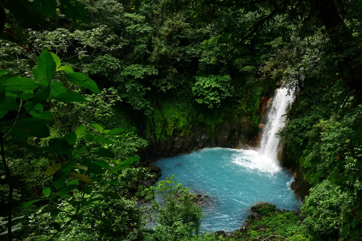 Bright blue water of the Rio Celeste under rainforest canopy in Tenorio Volcano National Park, Costa Rica