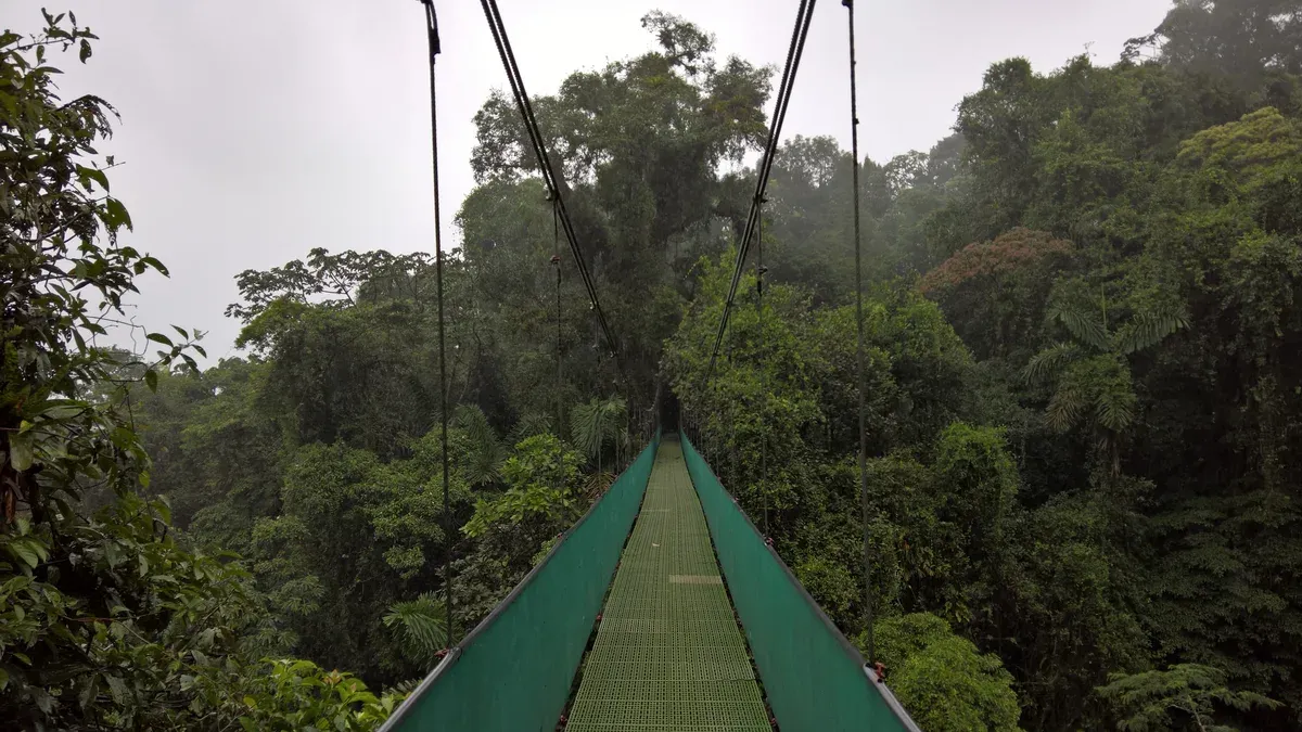 Hanging bridge over rainforest canopy near La Fortuna, Costa Rica, a common pairing with Rio Celeste tours