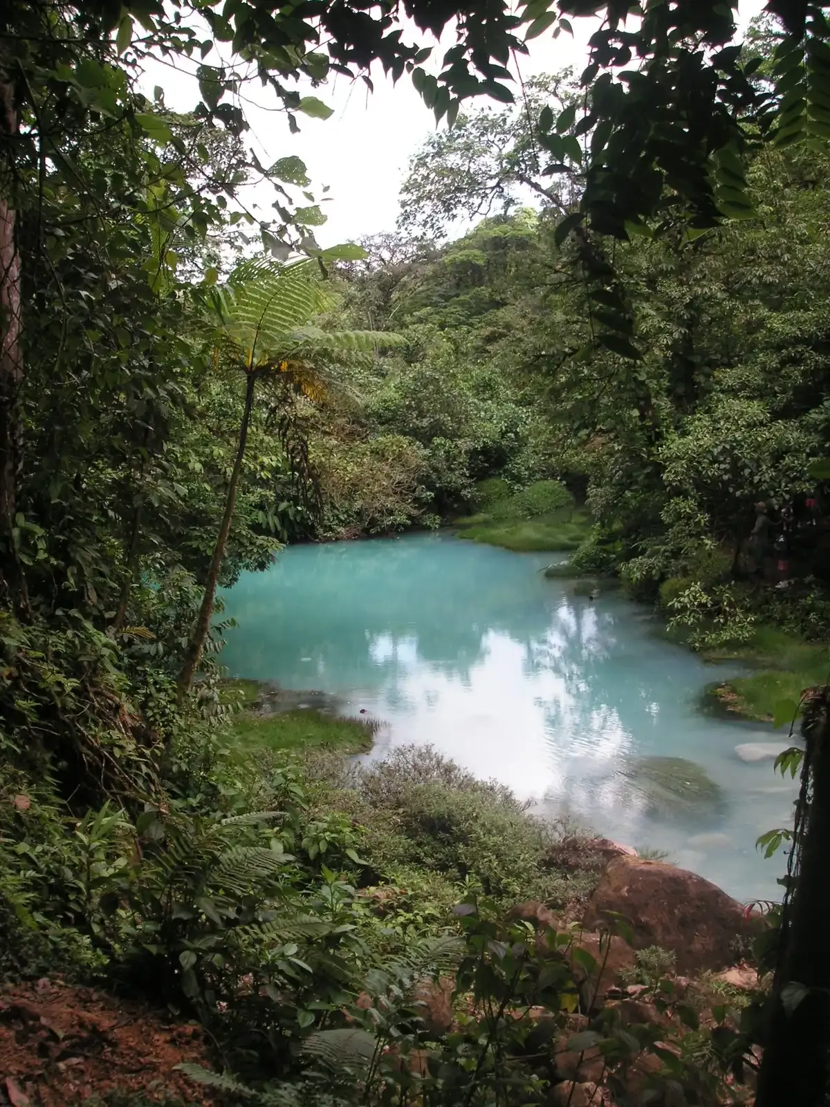 Sky-blue pool on the Rio Celeste at a river spot outside the protected section on the hike and swim day, Costa Rica