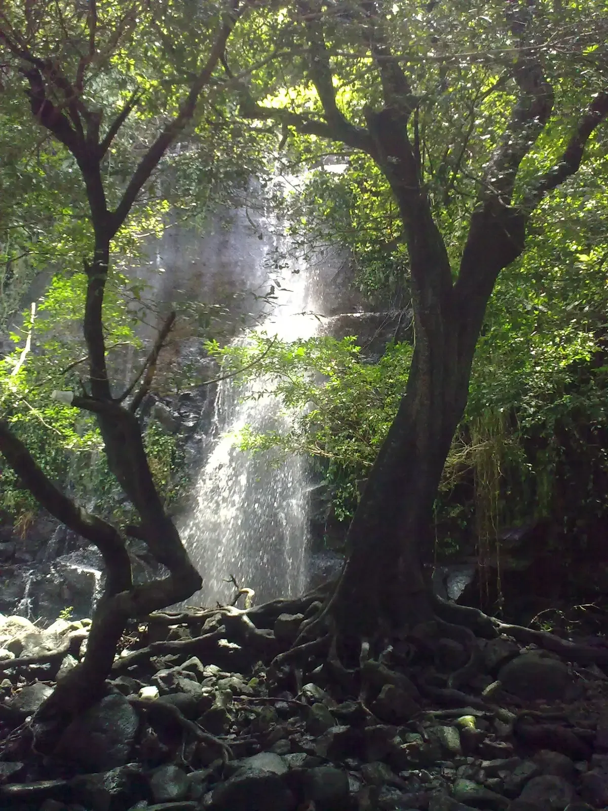 Llanos de Cortes waterfall in Guanacaste, Costa Rica, the swimmable alternative to Rio Celeste